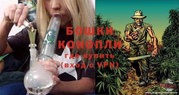 дживик Верхний Тагил