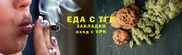 дживик Верхний Тагил