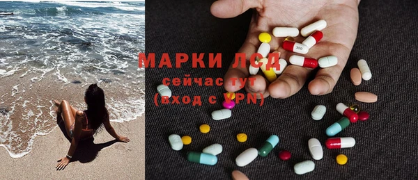 трава Верея