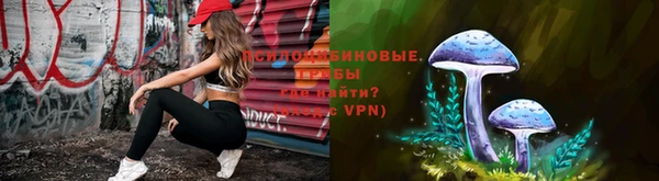 дживик Верхний Тагил