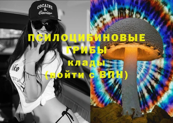 трава Верея