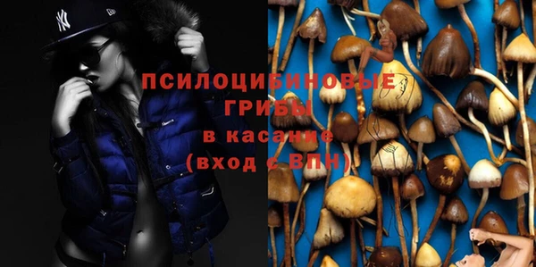 дживик Верхний Тагил