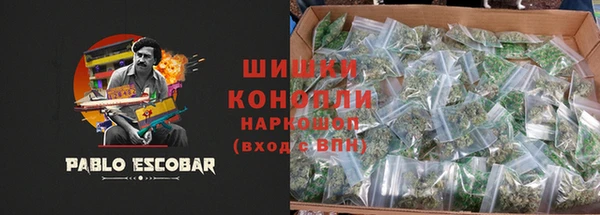 дживик Верхний Тагил